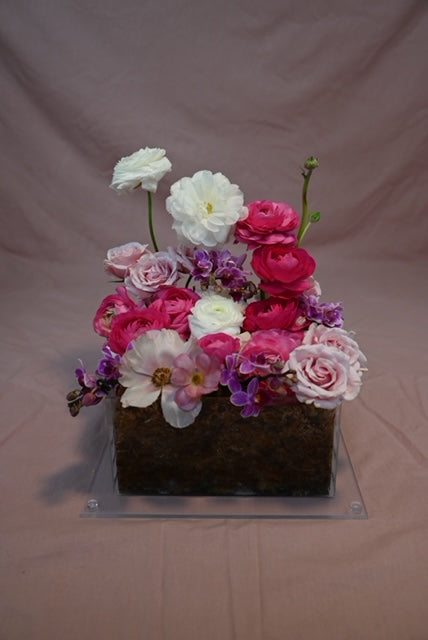 Plan Bloom Box Deluxe