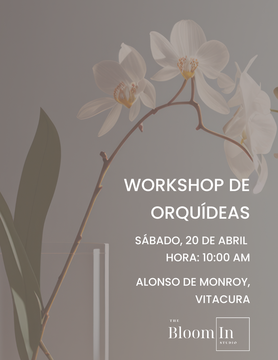 Workshop de Orquídeas
