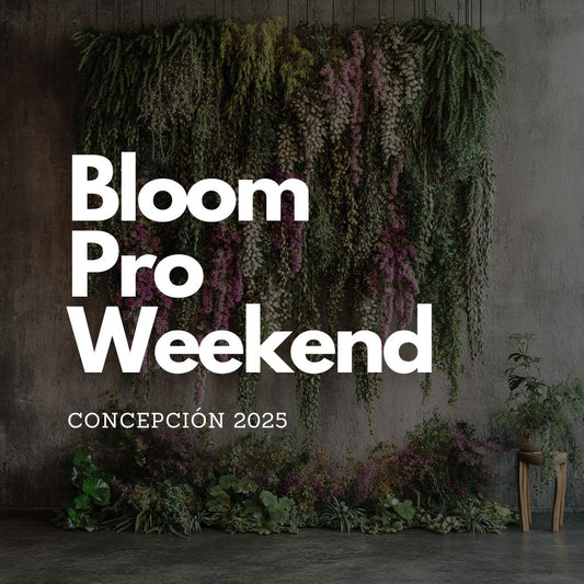 BLOOM PRO WEEKEND CONCEPCIÓN