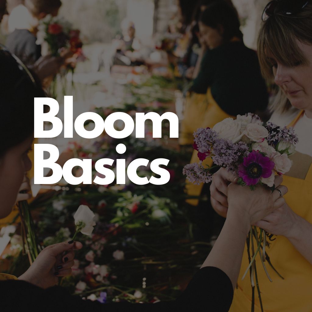Bloom Basics