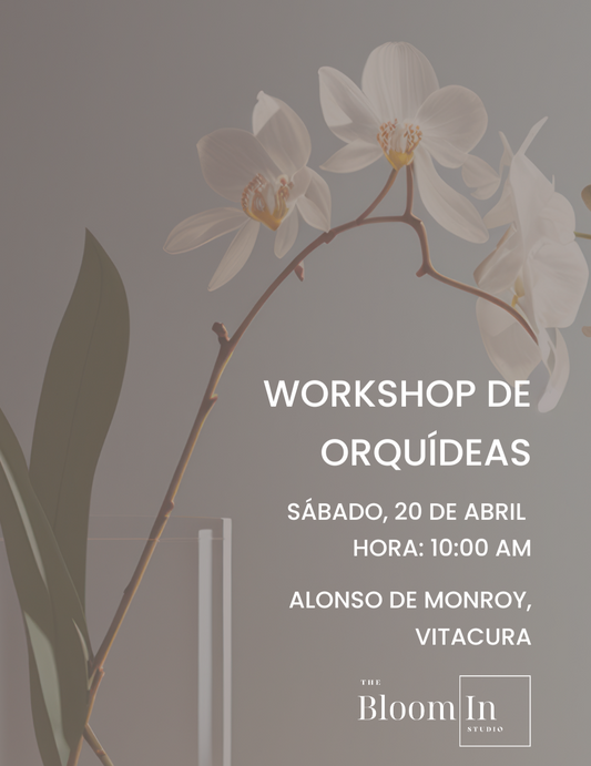 Workshop de Orquídeas